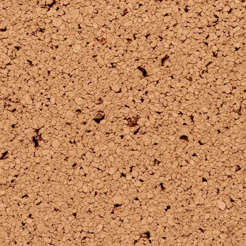 Cork