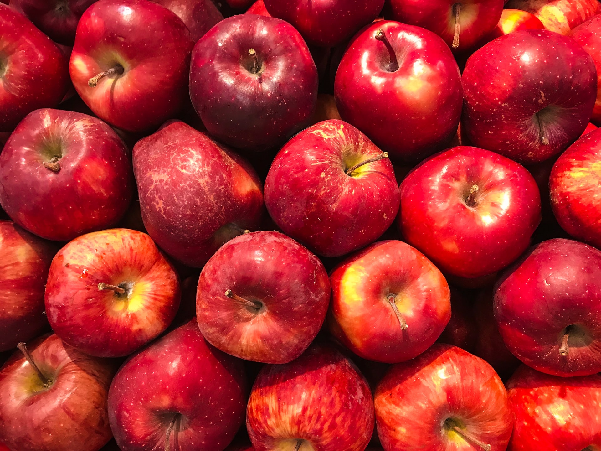 Apple Leather