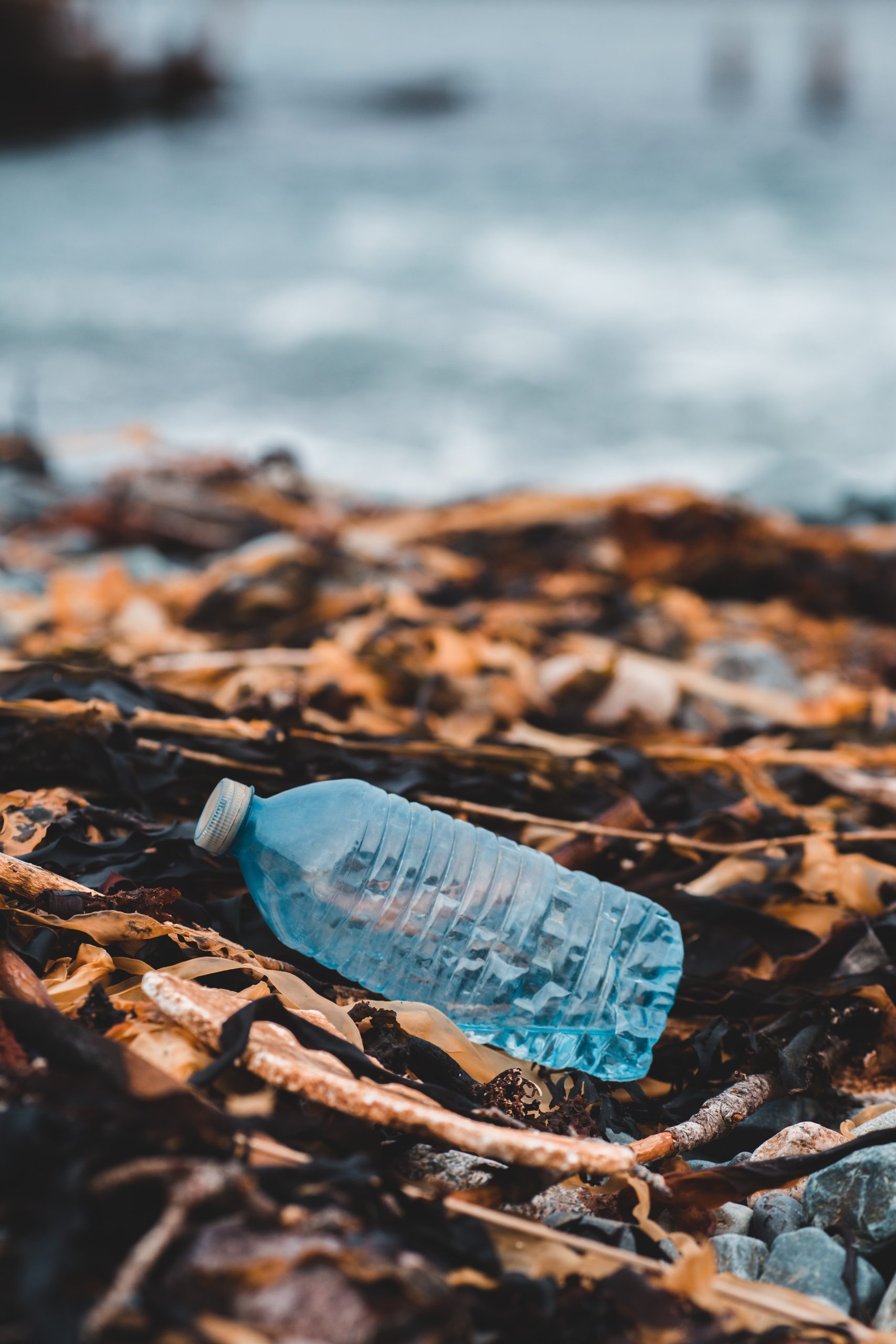 Plastic bottle on the beach.
