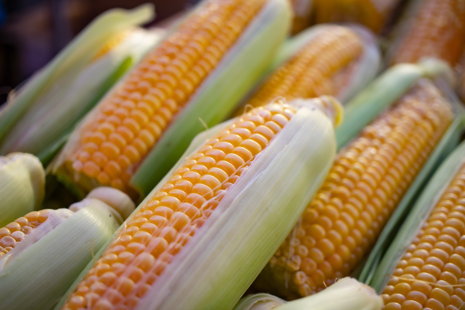 Shoe sustainable material - corn.