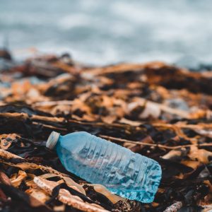 Plastic bottle on the beach.